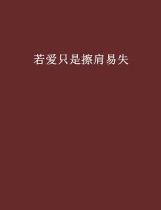 若爱只是擦肩易失