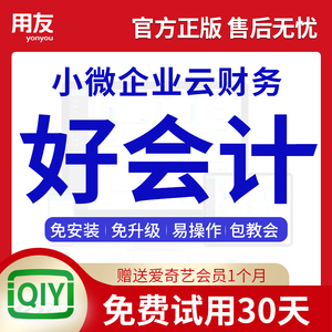 标准版财务软件