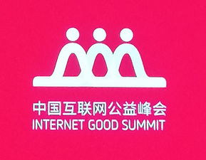 微爱公益 受邀出席2019中国互联网公益峰会 公益资水 益阳