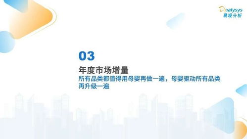 2024年中国互联网母婴行业年度分析 爱易网络的战略布局与市场前景